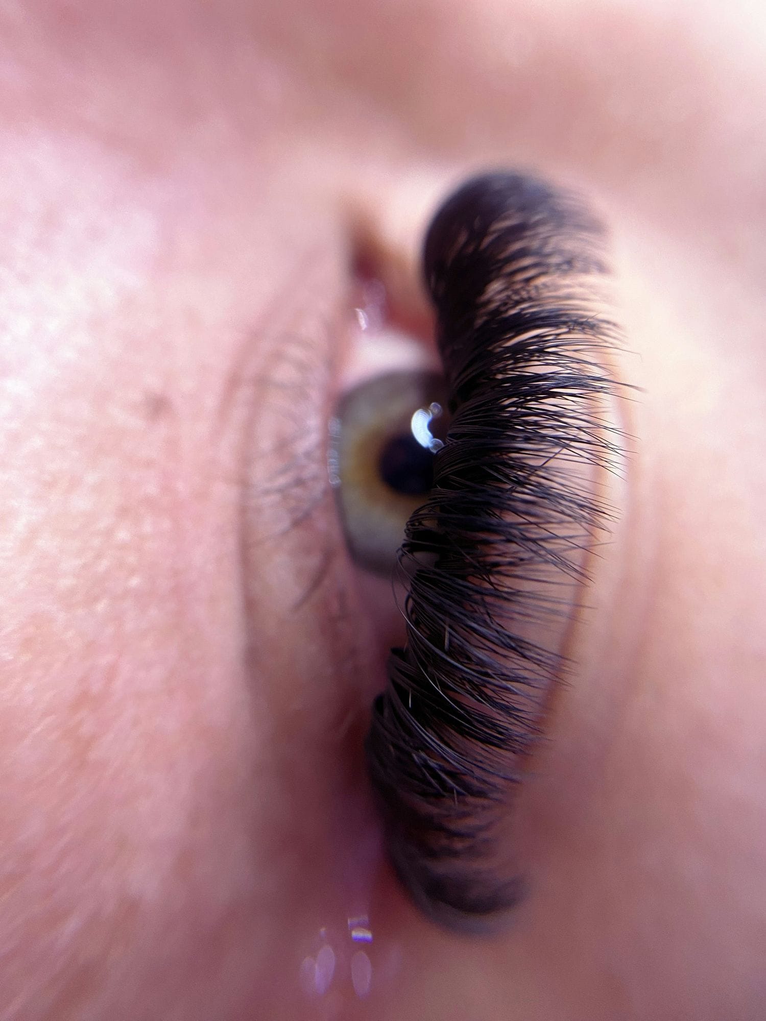 Macro detail of a dense, fanned volume lash line
